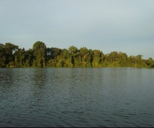 Amazon River  Source Uff travel5